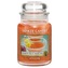 Yankee Candle Passion Fruit Martini Candle ( tropický koktejl s Martini ) - Vonná svíčka 623. ml unisex
