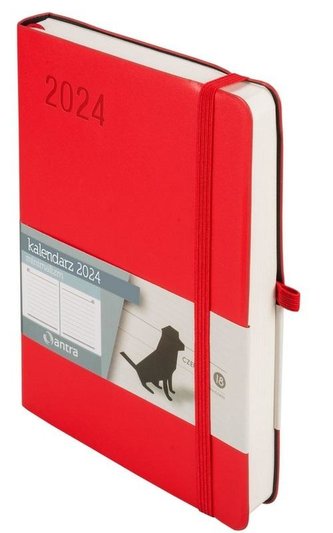 Kalendarz 2024 Minimalizm B6 DNS czerwony