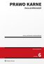 Prawo karne. Zarys problematyki w.6