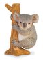 Koala na stromě