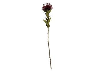 Umělá rostlina Protea Květina Malá červená Present Time