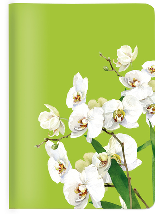 Notýsek/Zápisník A6 zelený s bílými orchideji CEDON