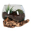 House Nordic San Marino Waterdrop