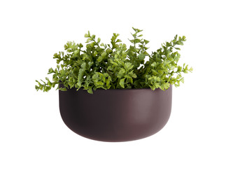 Nástěnný keramický květináč Oval Wide tmavě fialový Present Time