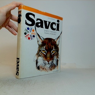 Savci