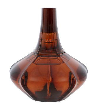 Calvin Klein Secret Obsession Parfémovaná voda 100 ml pro ženy