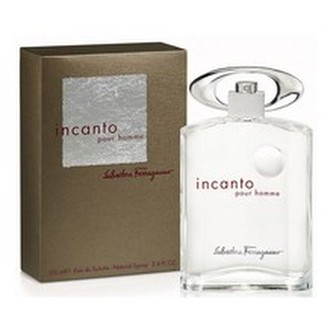 Salvatore Ferragamo Incanto Toaletní voda 100 ml pro muže