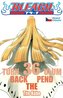 Bleach 36: Turn Back The Pendulum