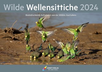 Kalender Wilde Wellensittiche 2024