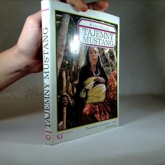 Tajemný mustang