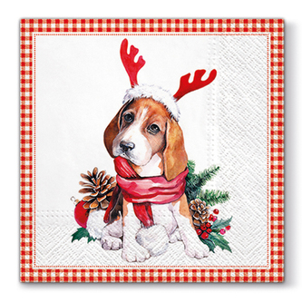 Ubrousky PAW L 33x33 cm Santa Dog