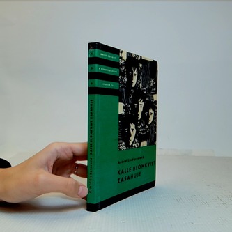 Kalle Blomkvist zasahuje