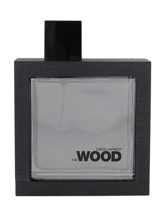 Dsquared2 He Wood Silver Wind Wood Toaletní voda 100 ml pro muže