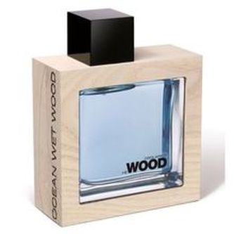 Dsquared2 He Wood Ocean Wet Wood Toaletní voda 100 ml pro muže Tester