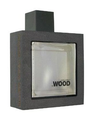 Dsquared2 He Wood Silver Wind Wood Toaletní voda 100 ml pro muže Tester