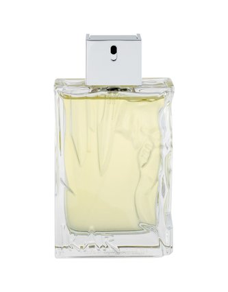 Sisley Eau d´Ikar Toaletní voda 100 ml pro muže