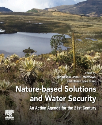 Nature-Based Solutions and Water Security