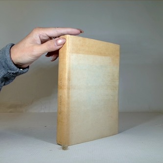 Cesta nikam