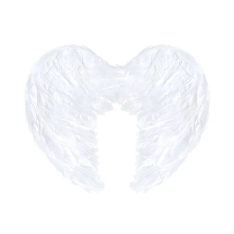 Andělská křídla malá - 45 x 35 cm - Partypal