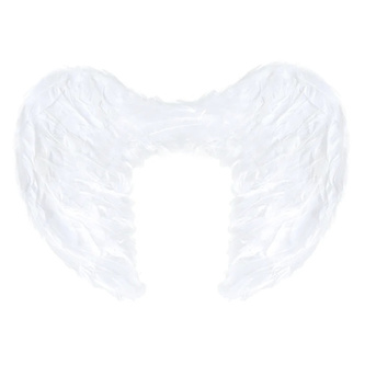 Andělská křídla velká - 54 x 37 cm - Partypal