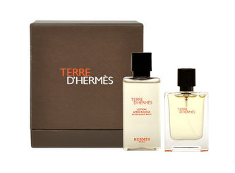 Hermes Terre D´Hermes toaletní voda 12,5 ml + voda po holení 40 ml Hermes Terre D´Hermes toaletní voda 12,5 ml + voda po holení 40 ml
