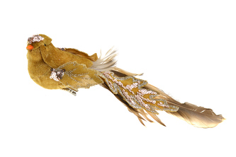 Ptáček s klipem - Hnědý