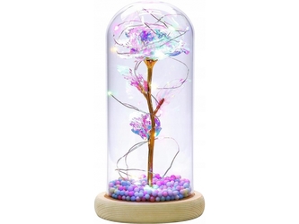 Růže ve skle - Eternal Rose