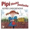 CD Pipi dlouhá punčocha