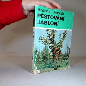 Pěstování jabloní