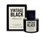 Kenneth Cole Vintage Black Toaletní voda 100 ml pro muže