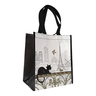 Taška SCPR29C04 BUG ART KIUB