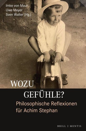 Wozu Gefühle? Philosophische Reflexionen für Achim Stephan