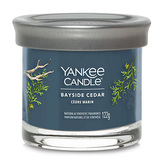 Svíčka ve skleněném válci Yankee Candle, Pobřežní cedr, 122 g