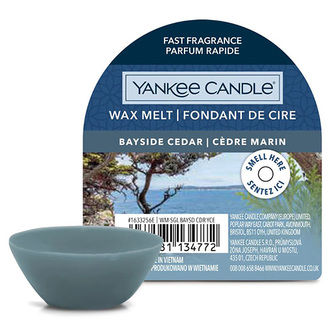Vonný vosk Yankee Candle, Pobřežní cedr, 22 g