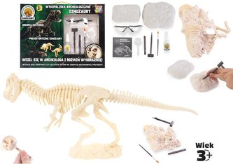 Wykopaliska archeologiczne - dinozaury Wykopaliska archeologiczne - dinozaury