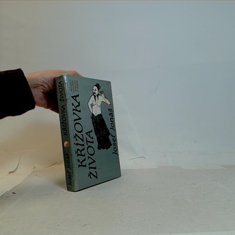 Křižovatka života