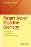 Perspectives on Projective Geometry