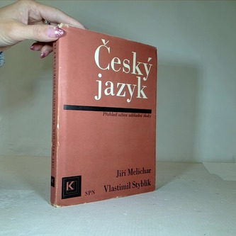 Český jazyk-přehled učiva zákoladní školy