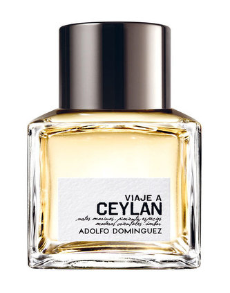 Adolfo Dominguez Viaje a Ceylan Toaletní voda 100 ml pro muže Tester