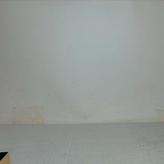 The Samurai's Daughter