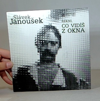 Rekni, co vidis y okna