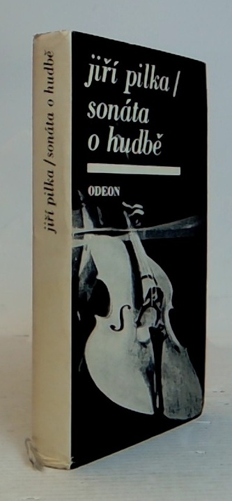 Sonáta o hudbě
