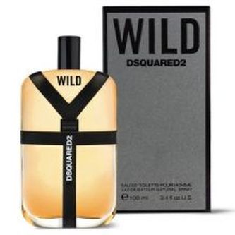 Dsquared2 Wild Toaletní voda 100 ml pro muže Tester