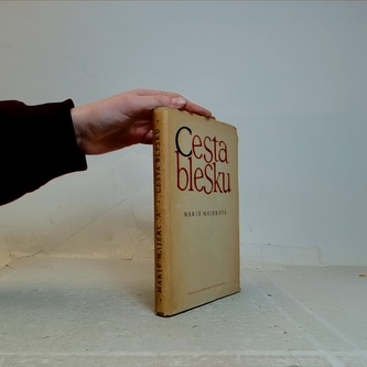 Cesta blesku