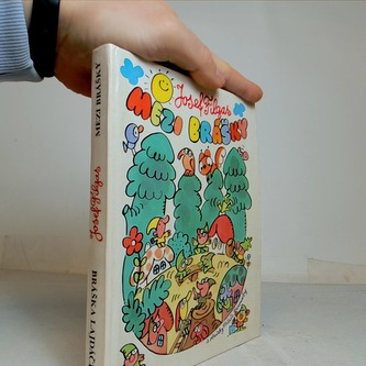 Bráška Lajdáček/Mezi brášky