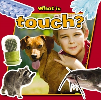 What is Touch?