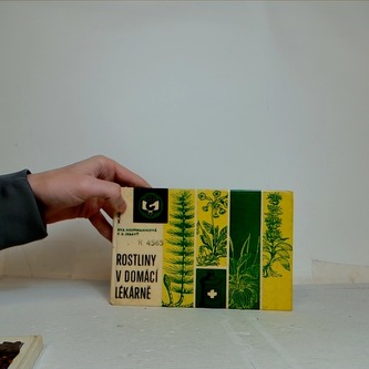 Rostliny v domácí lékárně