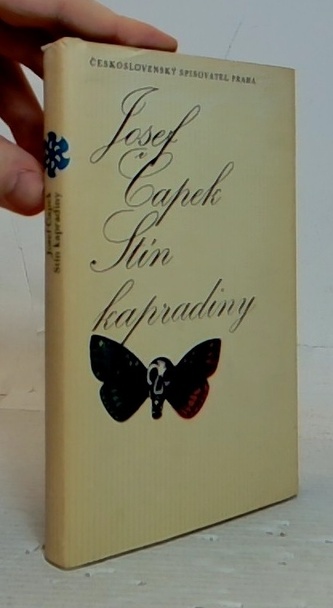 Stín kapradiny