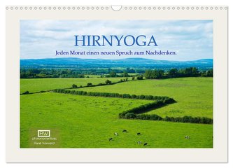 Hirnyoga (Wandkalender 2024 DIN A3 quer), CALVENDO Monatskalender