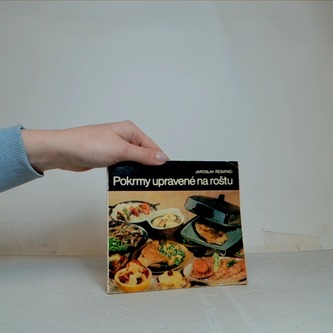 Pokrmy upravené na roštu